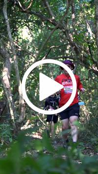 BIB:  <button type="button" onclick="openModal(28056978)" class="btn btn-primary btn-sm float-right" data-toggle="modal" data-target=".modal-high-quality">
                <i class="fa fa-download"></i> Download
                </button>